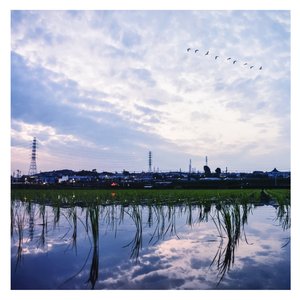 越南男人操女人视频
